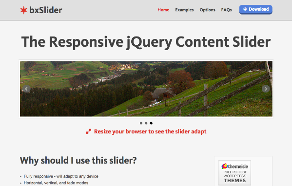 jQuery Content Slider   Responsive jQuery Slider   bxSlider