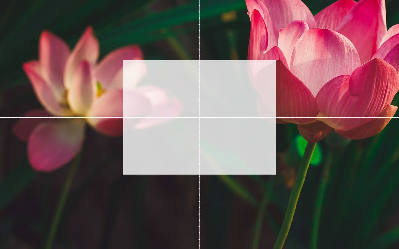 画像とテキストの横並びして 縦 垂直方向 中央揃えにする