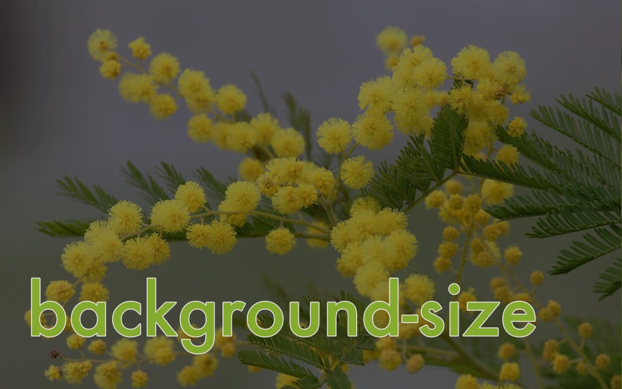 background-size の使い方＆サンプル
